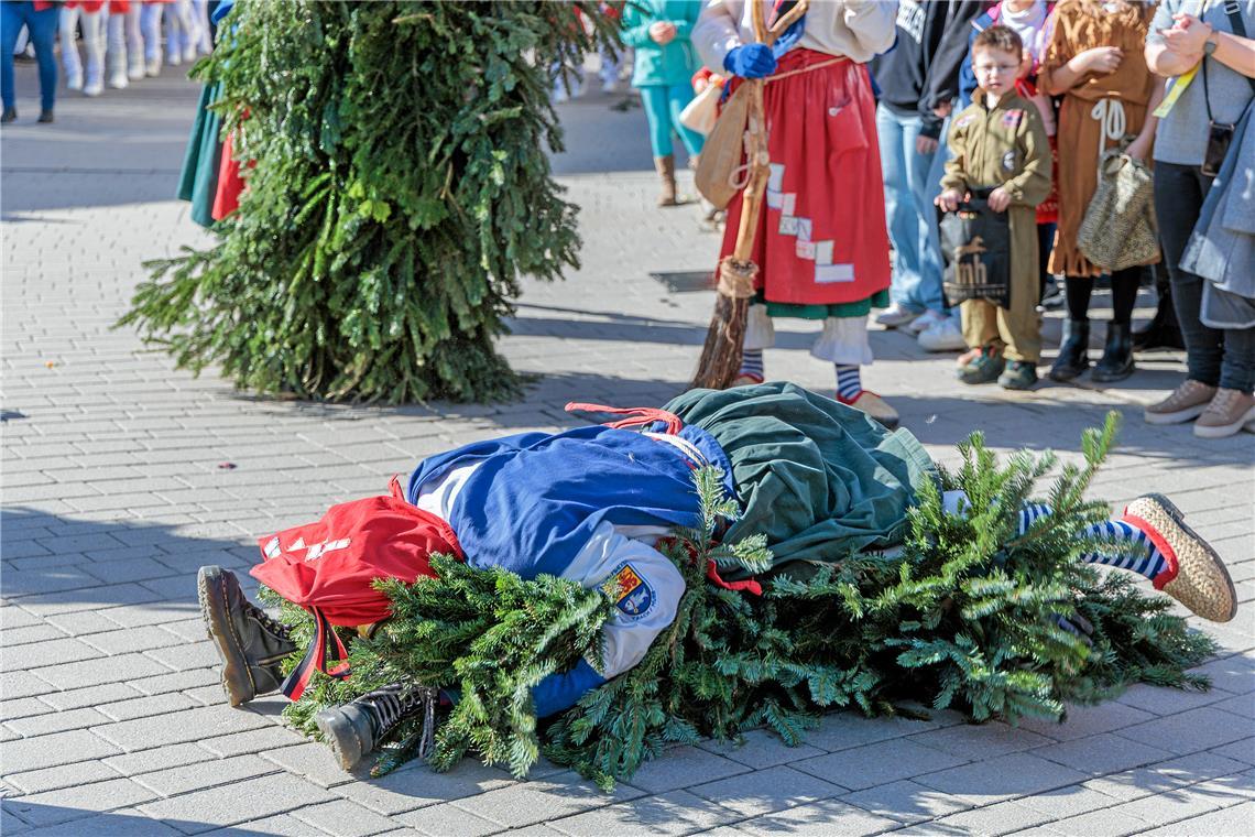 Faschingumzug 2025 des Sulzbacher Carnevalsvereins.