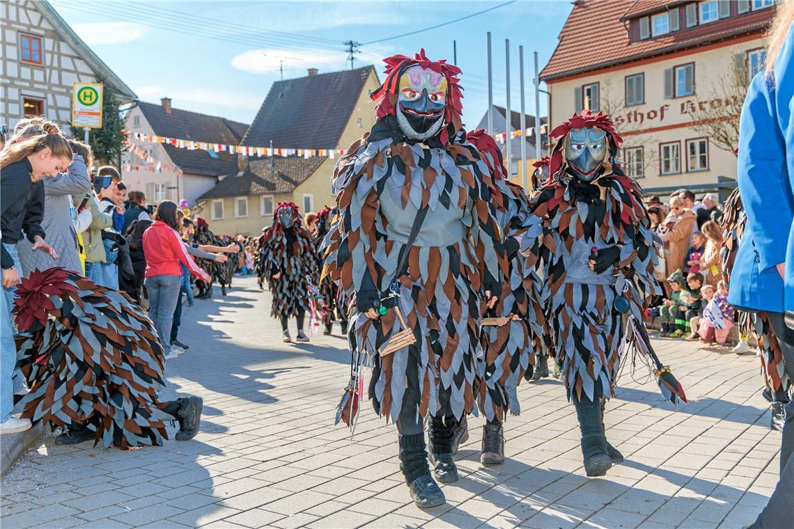 Faschingumzug 2025 des Sulzbacher Carnevalsvereins.