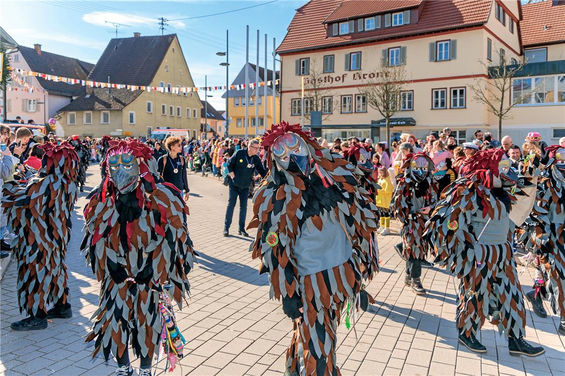 Faschingumzug 2025 des Sulzbacher Carnevalsvereins.