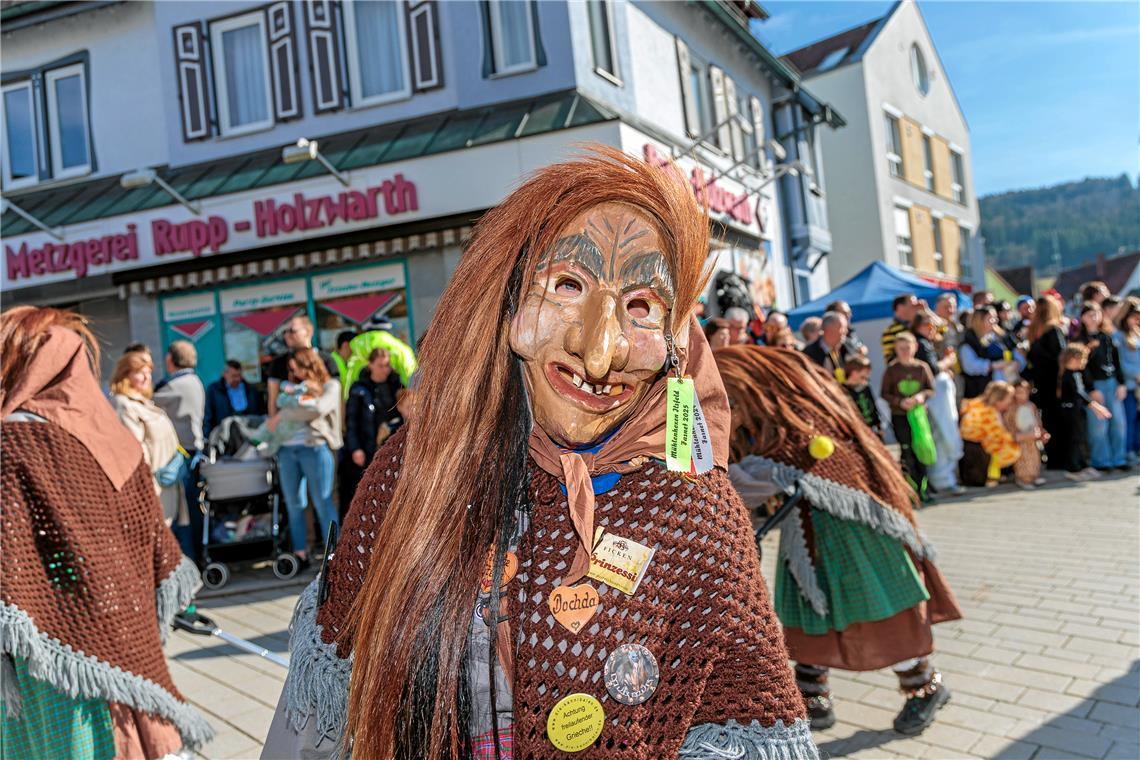 Faschingumzug 2025 des Sulzbacher Carnevalsvereins.