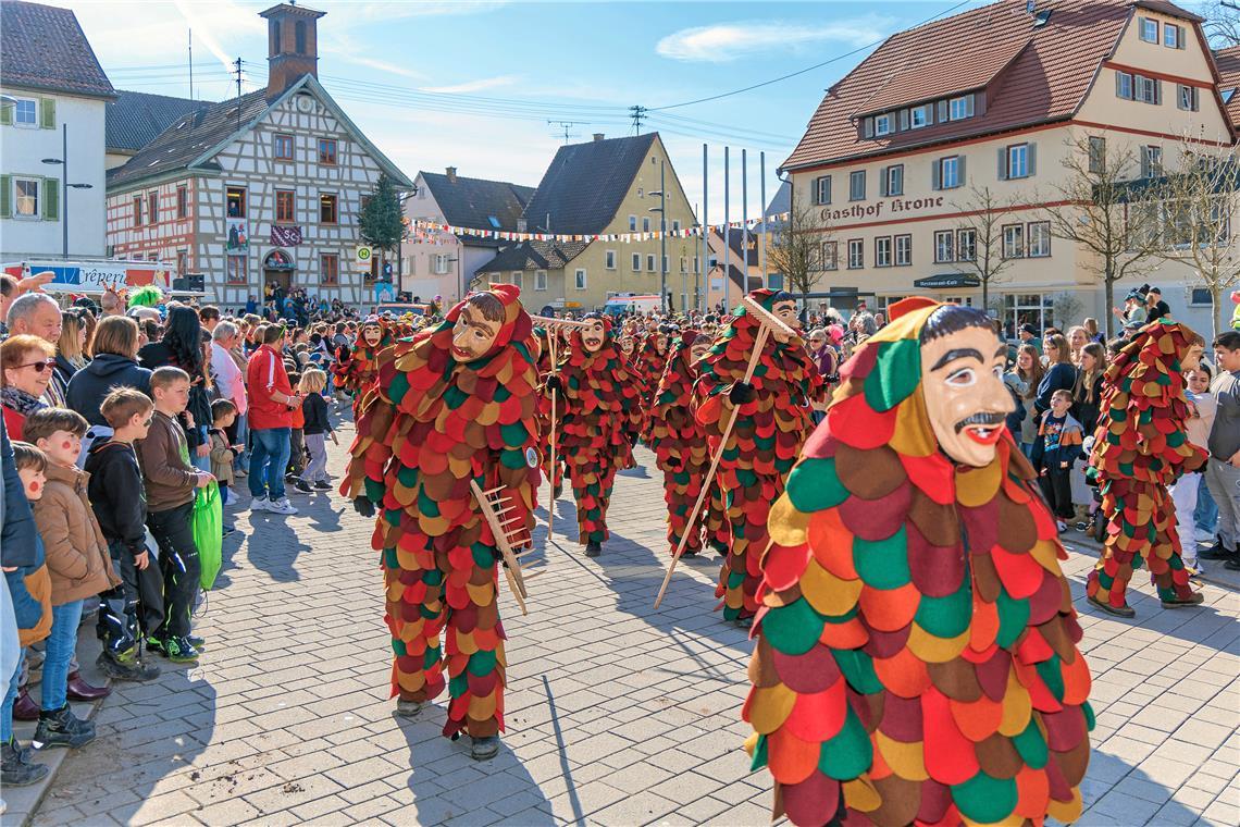 Faschingumzug 2025 des Sulzbacher Carnevalsvereins.