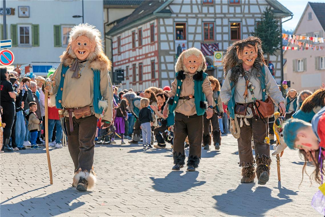 Faschingumzug 2025 des Sulzbacher Carnevalsvereins.