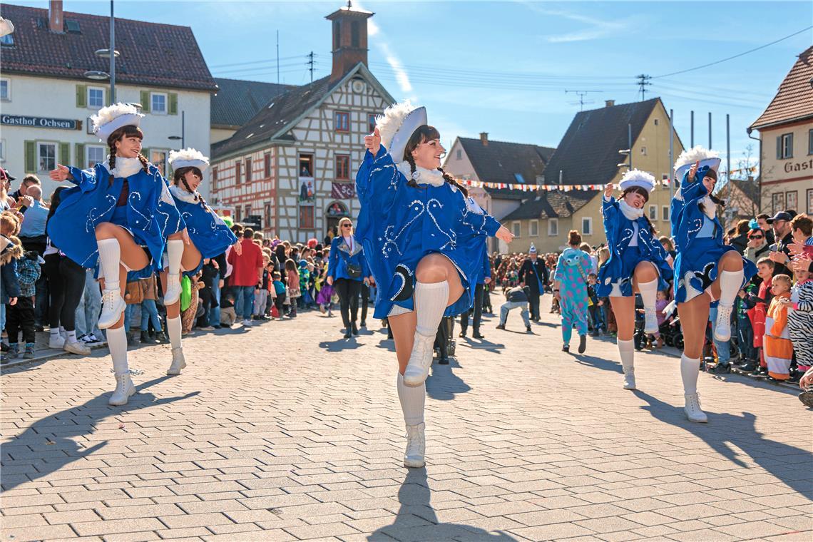 Faschingumzug 2025 des Sulzbacher Carnevalsvereins.