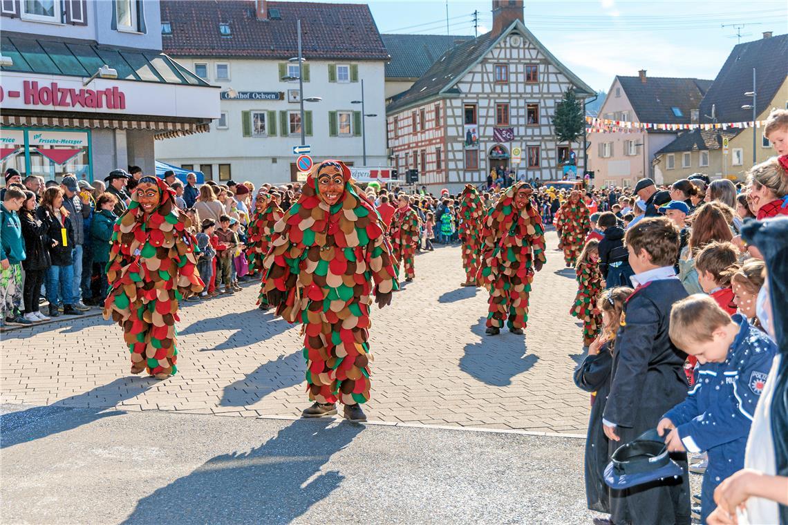 Faschingumzug 2025 des Sulzbacher Carnevalsvereins.