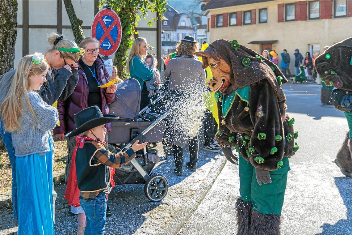 Faschingumzug 2025 des Sulzbacher Carnevalsvereins.