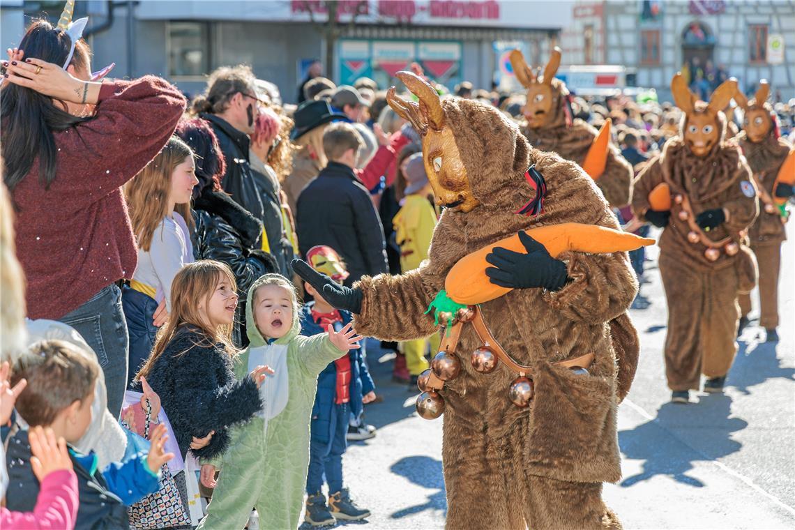 Faschingumzug 2025 des Sulzbacher Carnevalsvereins.