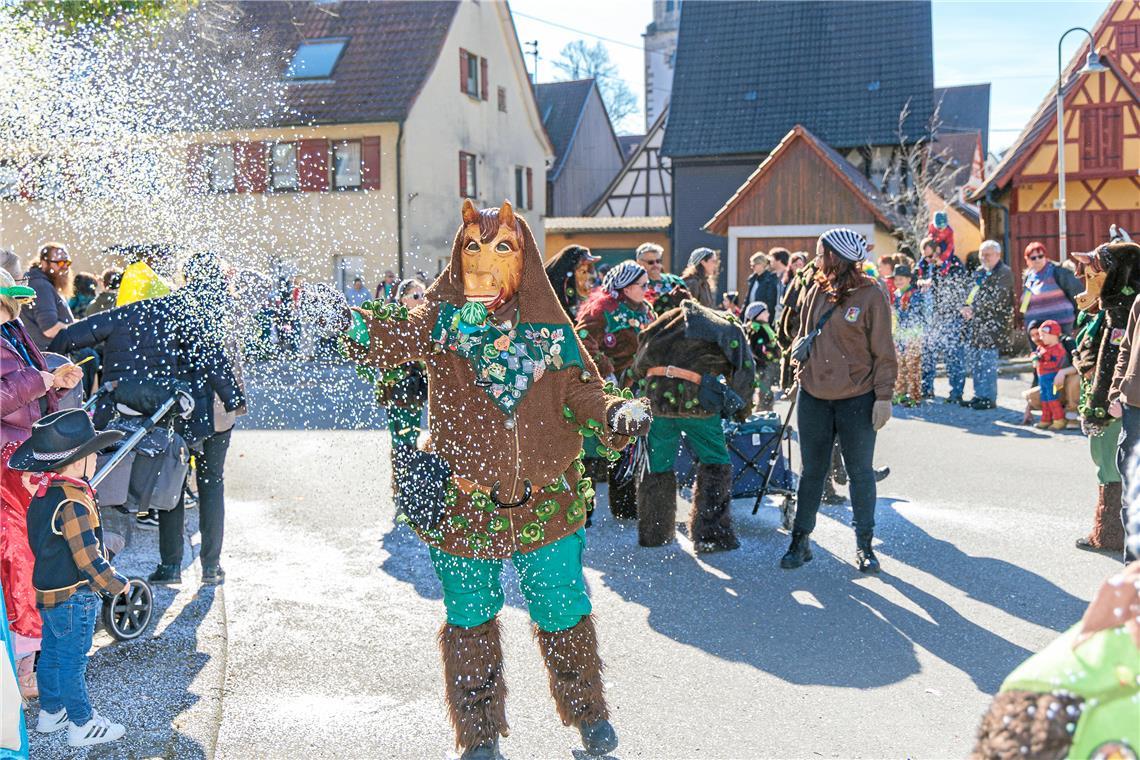 Faschingumzug 2025 des Sulzbacher Carnevalsvereins.