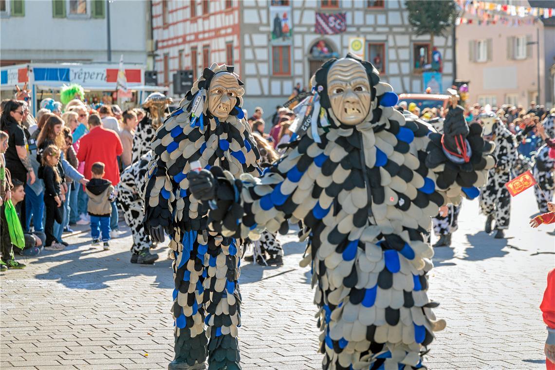 Faschingumzug 2025 des Sulzbacher Carnevalsvereins.