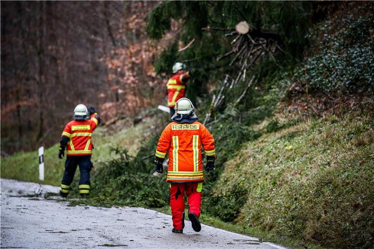 Feuerwehrleute der Feuerwehr Spiegelberg bekommen neue Ausrüstung. Archivfoto: Alexander Becher