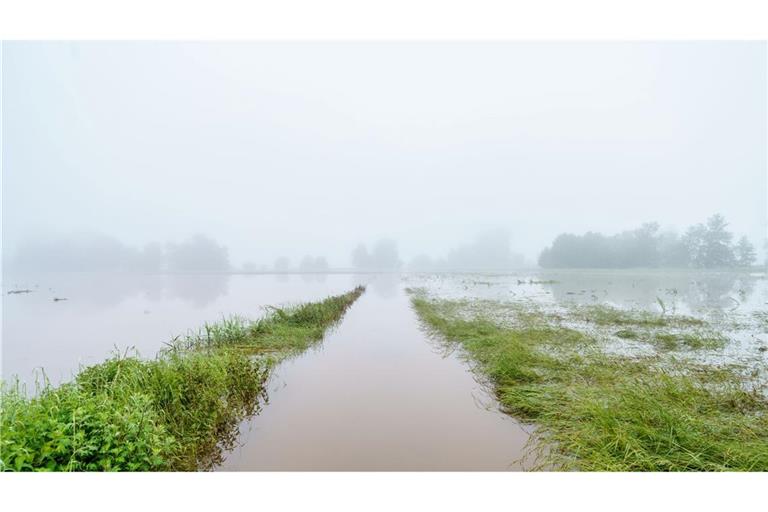 Finanzielle Einbußen durch das Hochwasser haben nicht nur Bauern, denen die Ernte ausgefallen ist, sondern auch Landwirte, die für ihre Produkte keine Abnehmer mehr finden.