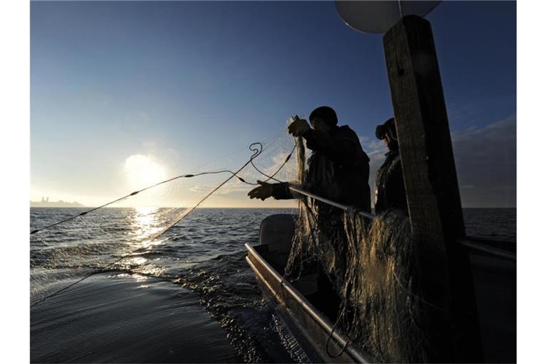 Fischer fahren in ihrem Fischerboot auf dem Bodensee. Foto: Felix Kästle/dpa/Archivbild