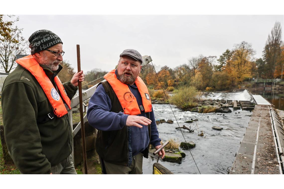 Fischwirt Dennis Bock (links) und Fischwirtschaftsmeister Sven Wohlgemut helfen deutschen Wildlachsen bei der Fortpflanzung.