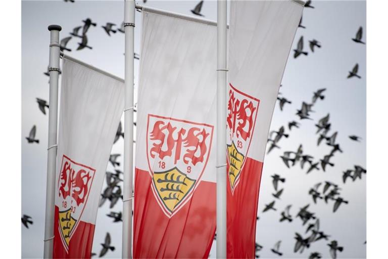 Flaggen mit dem Logo von VfB Stuttgart. Foto: Fabian Sommer/Archivbild