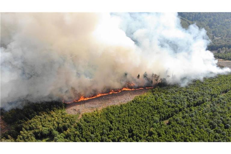 Flammen lodern bei einem Waldbrand im Sauerland.