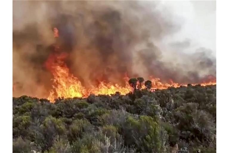 Flammen steigen aus einem Waldstück auf dem Kilimandscharo empor. Foto: Uncredited/AP/dpa