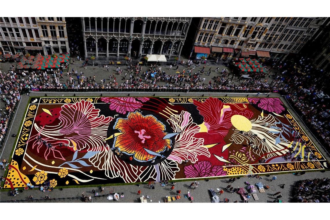 Florales Kunstwerk: Blick auf einen riesigen Blumenteppich auf dem Grote Markt in Brüssel.