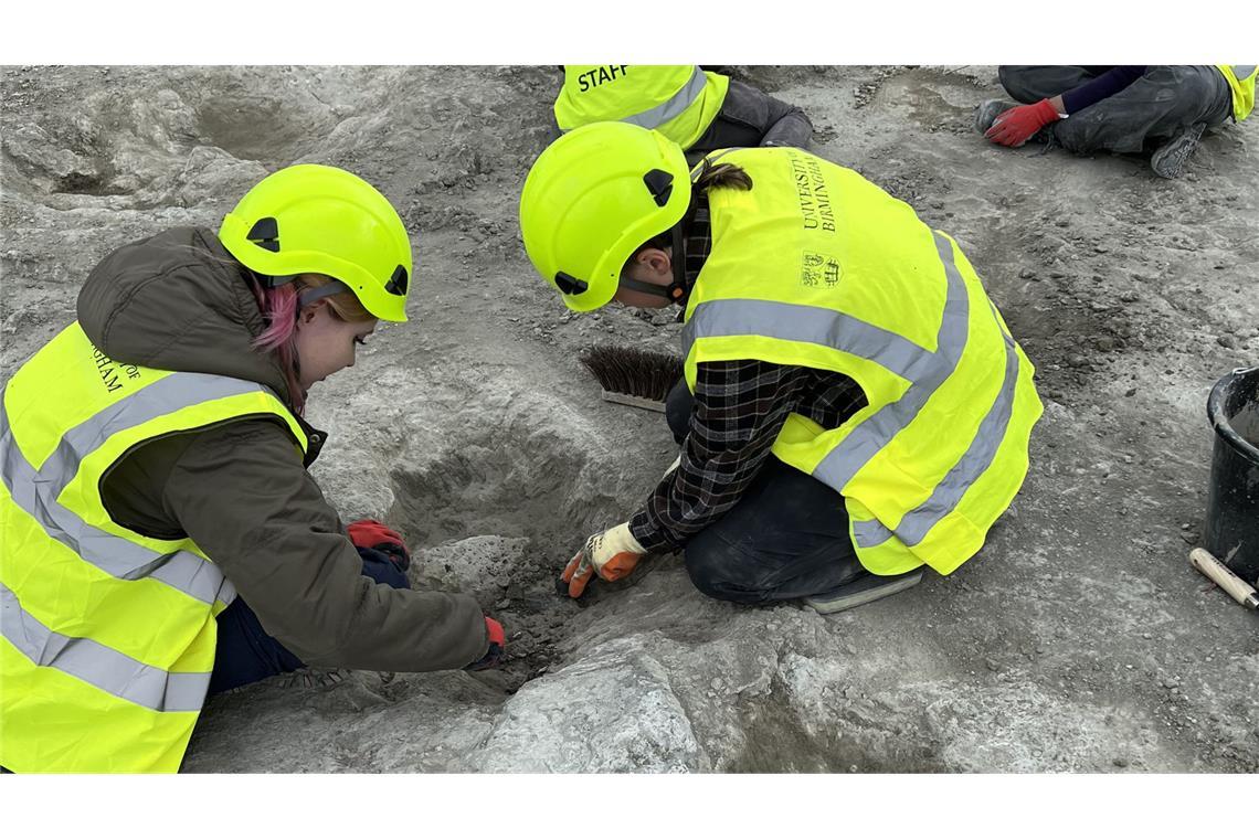 Forscher haben rund 200 Fußstapfen von Dinosauriern entdeckt. (Archivbild)