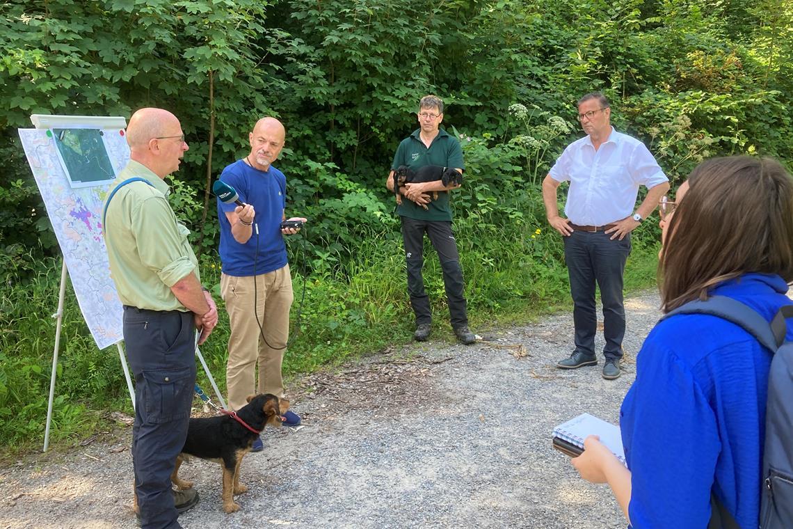 Forstbezirksleiter Martin Röhrs (links) und Revierleiter Hans-Joachim Bek (mitte) erläutern Minister Peter Hauk (rechts) die Gegebenheiten im Schwäbisch-Fränkischen Wald. Foto: MLR