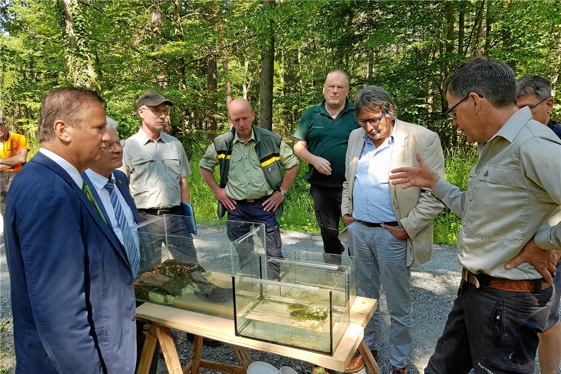 Mehr Lebensraum für die Gelbbauchunke im Rems-Murr-Kreis Forstrevierleiter Hans-Joachim Bek (rechts) erklärt den Anwesenden um Minister Peter Hauk (links) die Anforderungen an einen geeigneten Lebensraum für Gelbbauchunken.