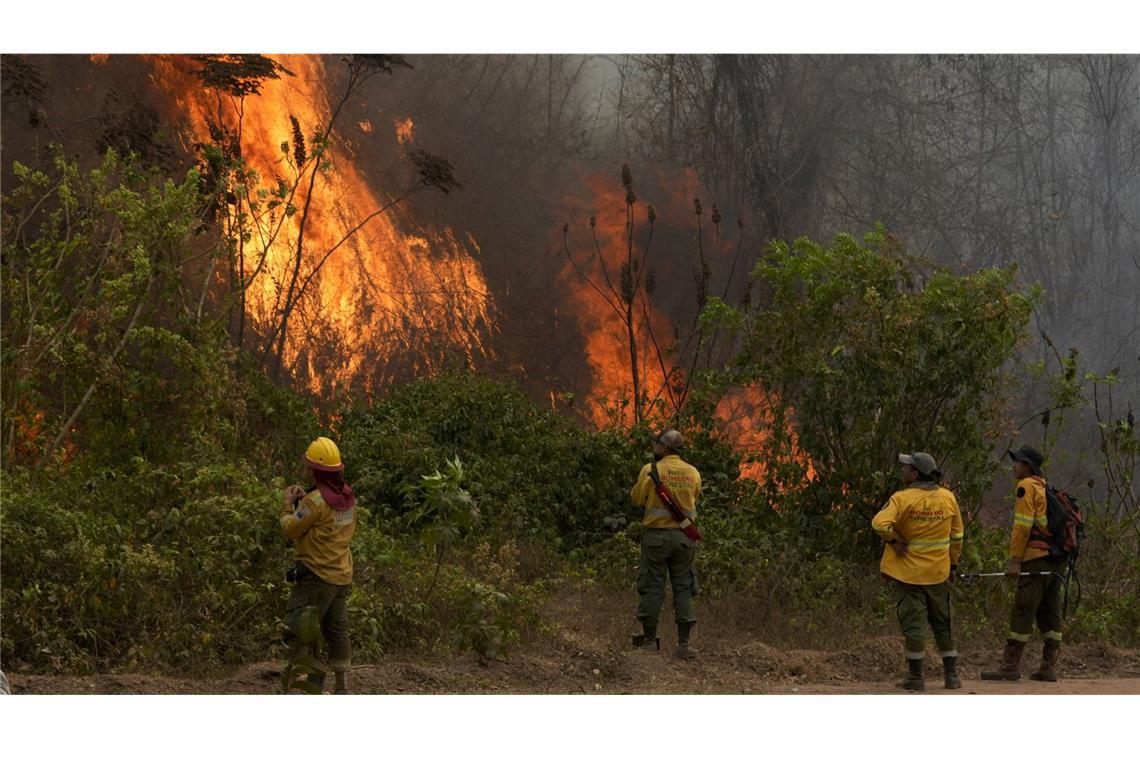 Freiwillige Feuerwehrleute löschen ein Feuer im Wald von Chiquitania in der Nähe von Concepcion in Bolivien.