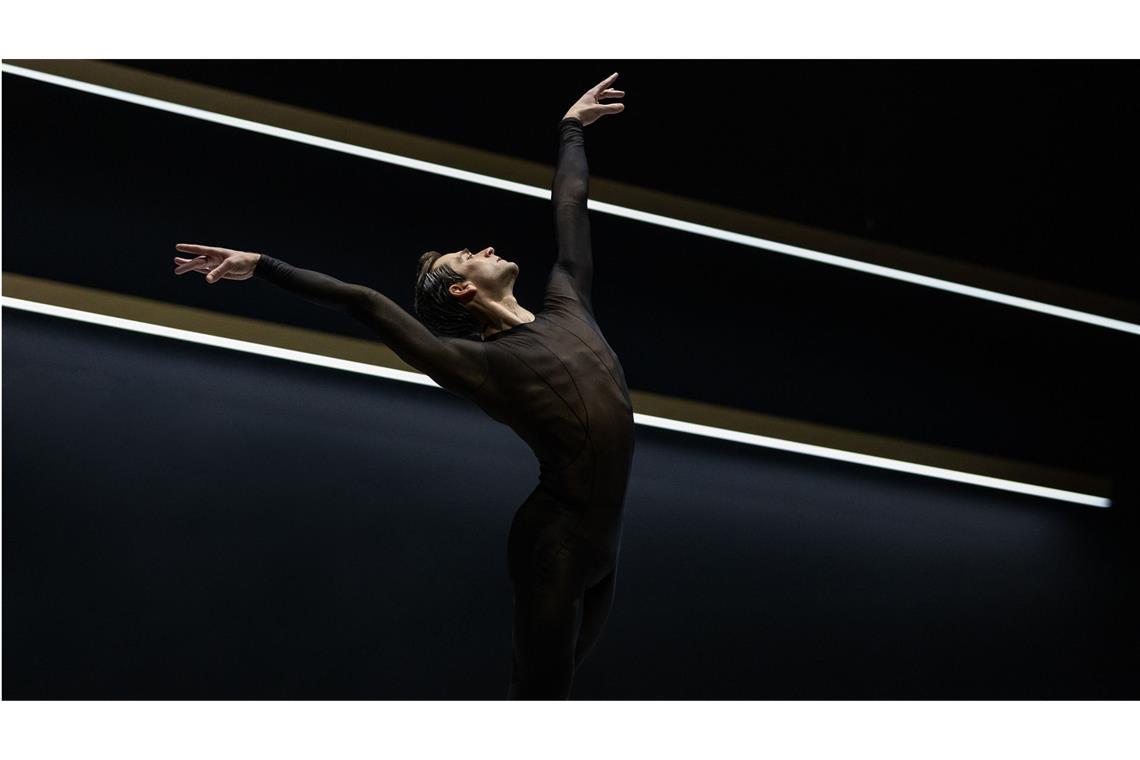 Friedemann Vogel in David Dawsons Ballett „Symphony No 2: Under the Trees’ Voices“ .