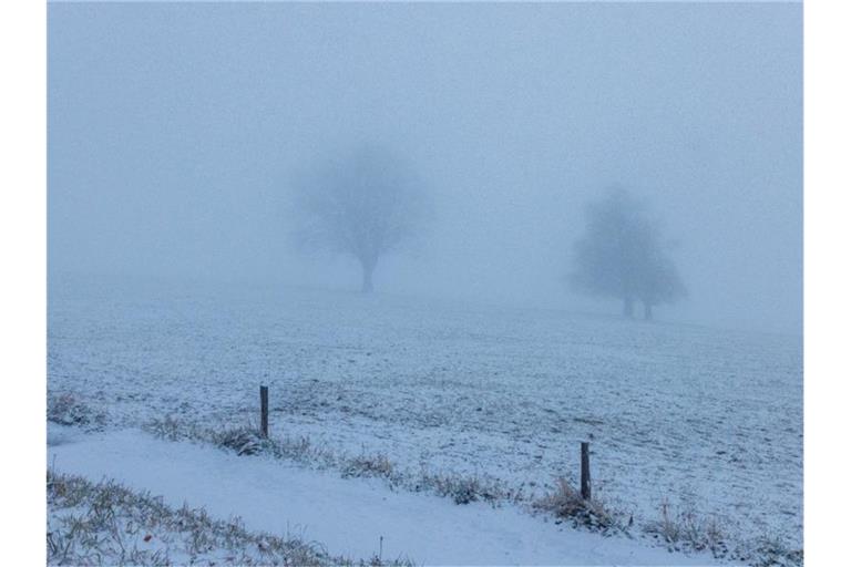 Frischer Schnee liegt nahe dem Gipfel des Berges Schauinsland. Foto: Philipp von Ditfurth/dpa