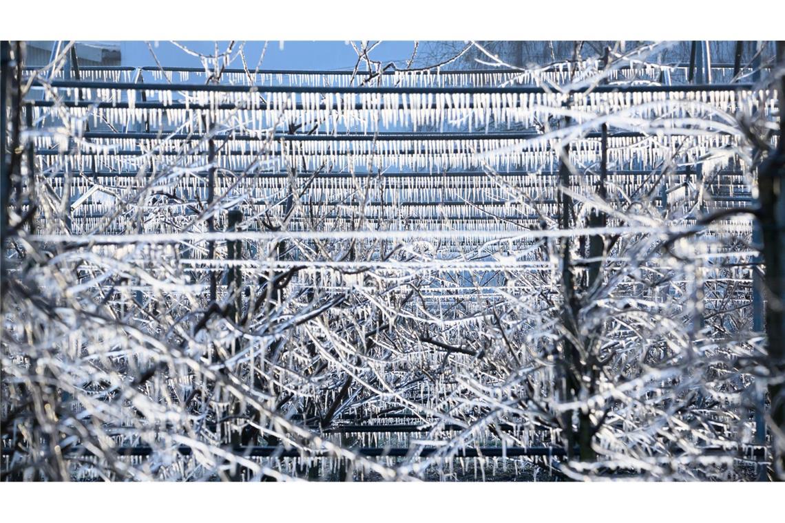 Frostige Temperaturen herrschen derzeit in weiten Teilen Deutschlands.