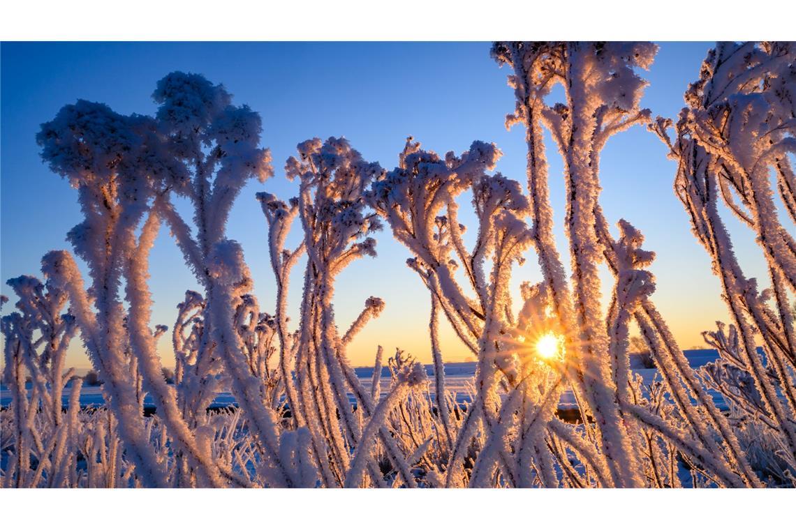 Frostiger Sonnenaufgang