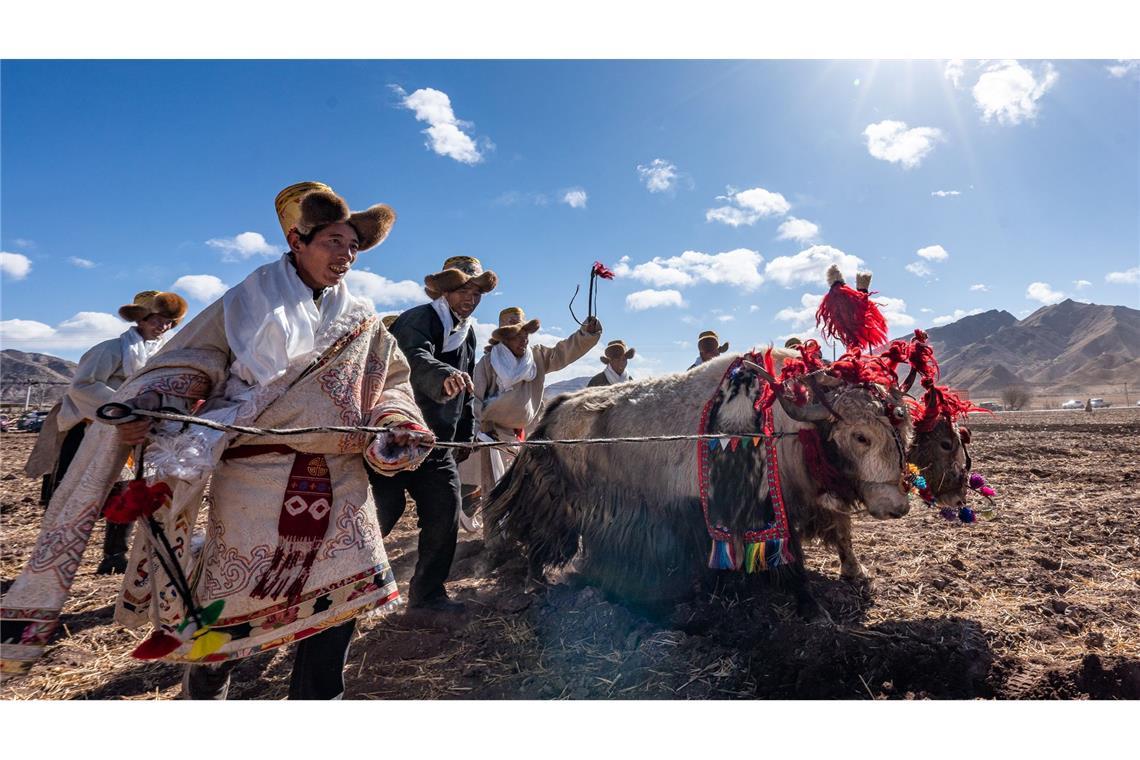 Frühjahrsanbau-Zeremonie in China: Bauern nehmen an einer Zeremonie zum Beginn der Frühjahrslandwirtschaft in der Gemeinde Codoi im Kreis Lhunzhub in Lhasa im südwestchinesischen Autonomen Gebiet Xizang teil.