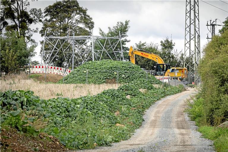 Für die Montage des neuen Strommasts musste eigens eine Baustraße angelegt werden. Foto: Alexander Becher