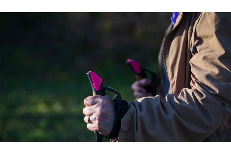 Für Parkinson-Patienten eignen sich Sportarten wie Wandern oder Nordic Walking, weil dabei Beweglichkeit, Gleichgewicht, Kraft, Körperhaltung und Koordination trainiert werden.