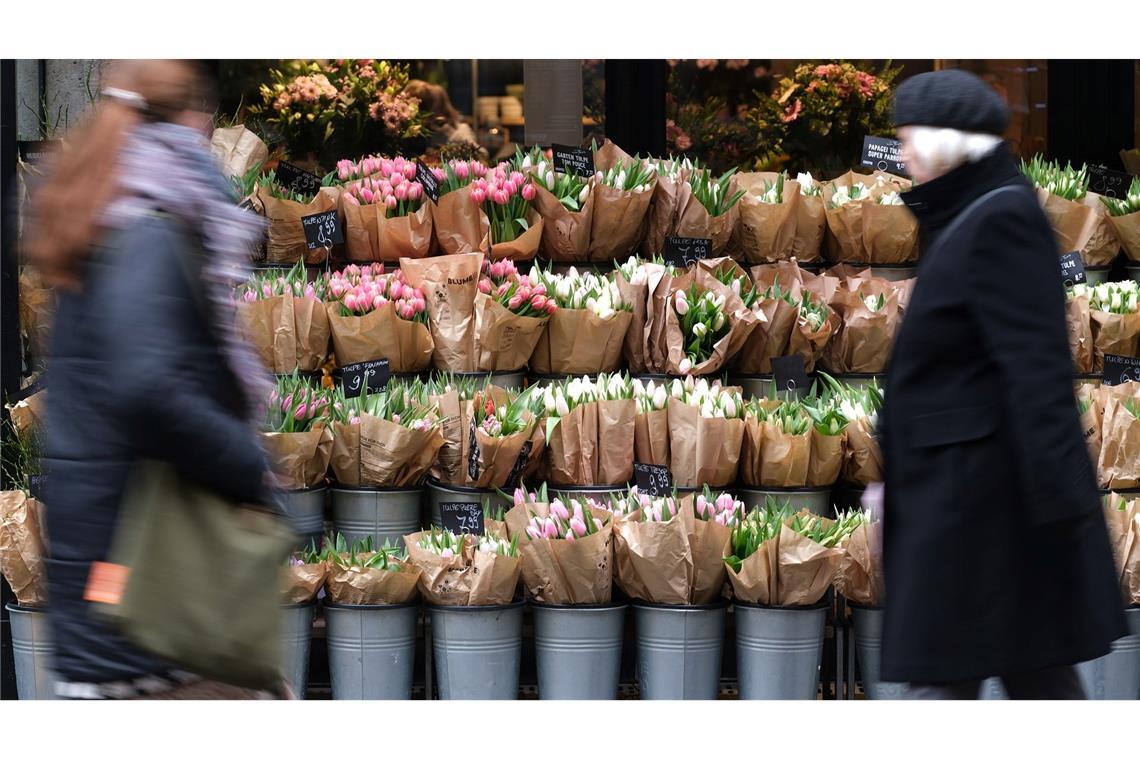 Für Tulpen müssen Verbraucher in diesem Jahr tiefer in die Tasche greifen. (Archivbild)