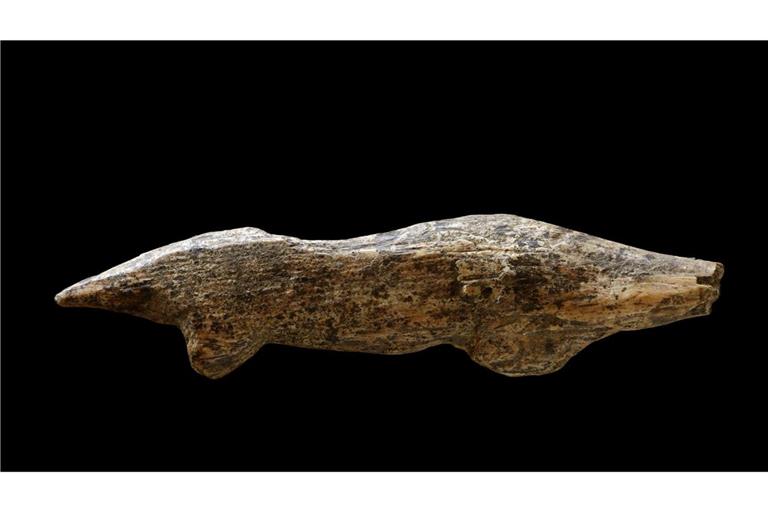 „Fund des Jahres“: Eine 40 000 bis 38 000 Jahre alte Tierfigurine aus Mammutelfenbein, die einen Otter darstellen soll.