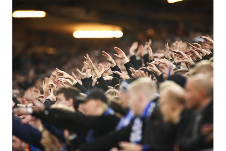 Fußballfans jubeln im Stadion. Foto: Christian Charisius/dpa/Symbolbild