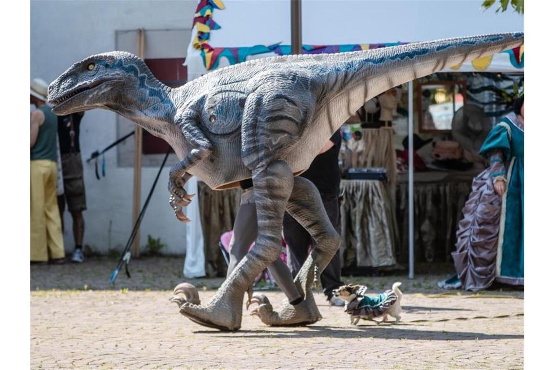 Gekleidet als Dinosaurier läuft ein Besucher über das Gelände des Fantasy-Festivals "Annotopia". Foto: Christoph Schmidt/dpa/Archivbild