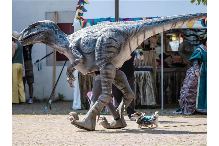 Gekleidet als Dinosaurier läuft ein Besucher über das Gelände des Fantasy-Festivals "Annotopia". Foto: Christoph Schmidt/dpa/Archivbild