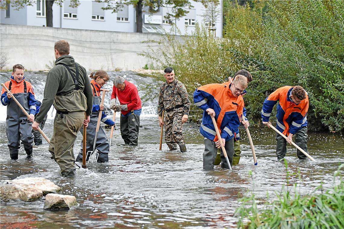 Gemeinsam mit der Jugendfeuerwehr hat der Anglerverein sich bei der Kiesflächenrevitalisierung in der Murr engagiert. So soll der Bachforelle die Möglichkeit zum Laichen geboten werden. Archivfoto: Tobias Sellmaier