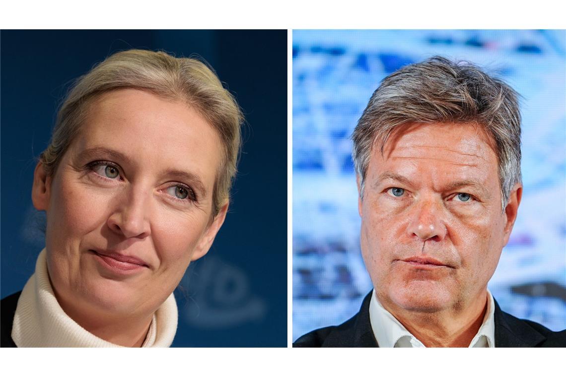 Habeck will nach Angaben seines Wahlkampfsprechers nicht an einem TV-Duell mit AfD-Kanzlerkandidatin Alice Weidel teilnehmen.