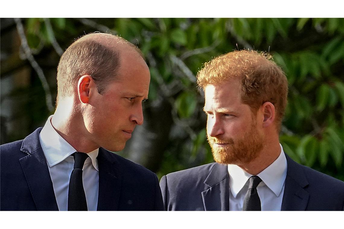 Haben sich angeblich seit langer Zeit nichts zu sagen: die Brüder William und Harry. (Archivbild)