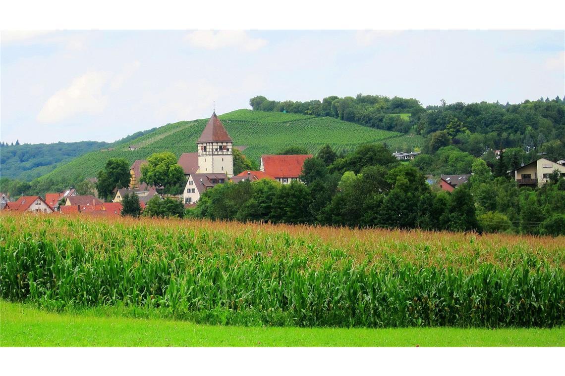 Häfnerhaslach: einst das wohlhabendste Dorf im Stromberg.