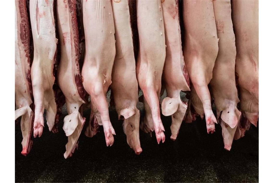 Halbierte Schweine hängen in einem Schlachthof. Foto: Mohssen Assanimoghaddam/dpa/Symbolbild