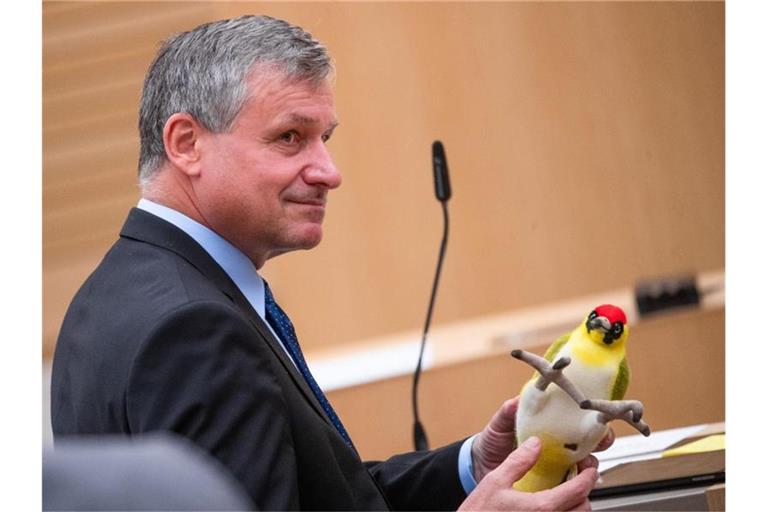 Hans-Ulrich Rülke sitzt an seinem Platz und hält dabei einen Plüsch-Grünspecht in seinen Händen. Foto: Christoph Schmidt/dpa