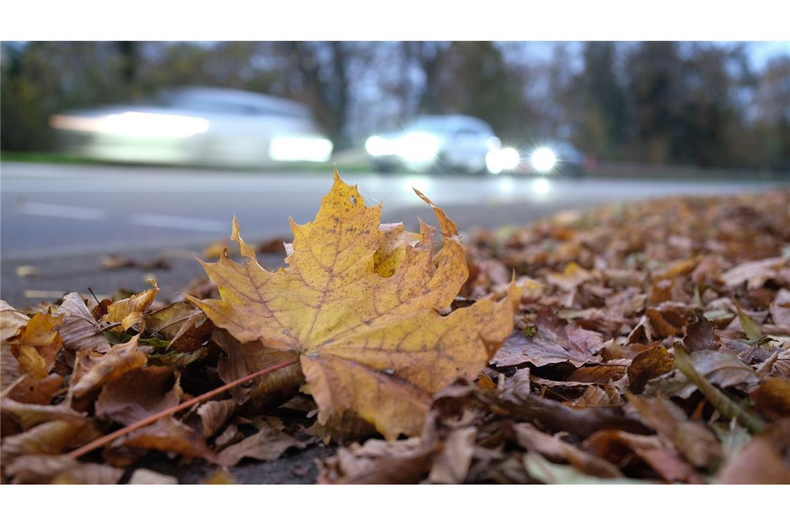 Herbstlaub liegt auf einem Gehweg vor einer Straße, auf der im morgendlichen Berufsverkehr die Autos fahren.