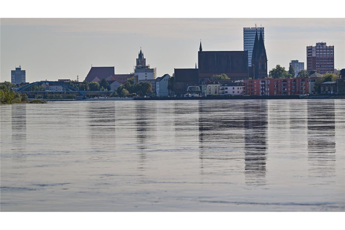 Hochwasser im Herbst in Frankfurt (Oder). (Archivbild)