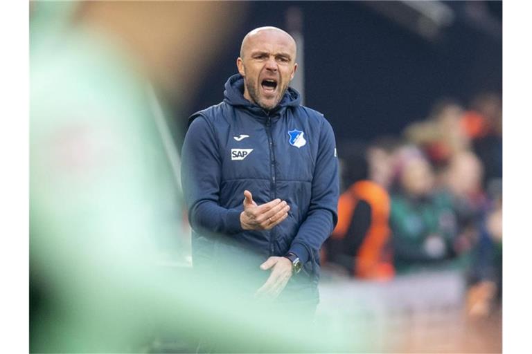 Hoffenheims Trainer Alfred Schreuder gibt Anweisungen. Foto: David Inderlied/dpa