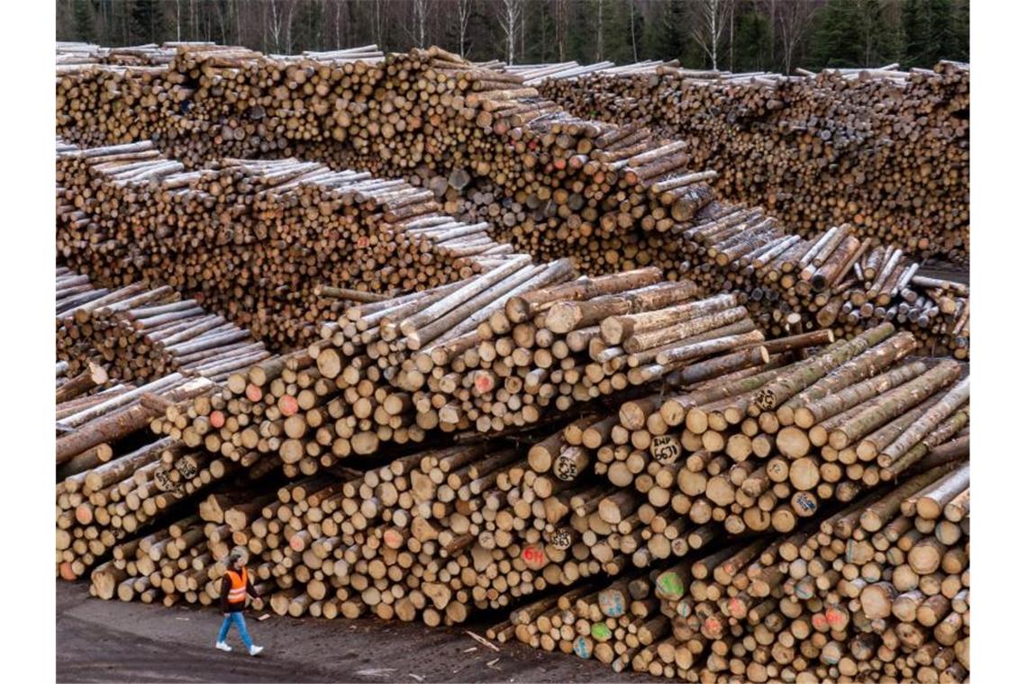 Holzstämme liegen auf dem Gelände eines Sägewerks. Foto: Armin Weigel/dpa/Symbolbild