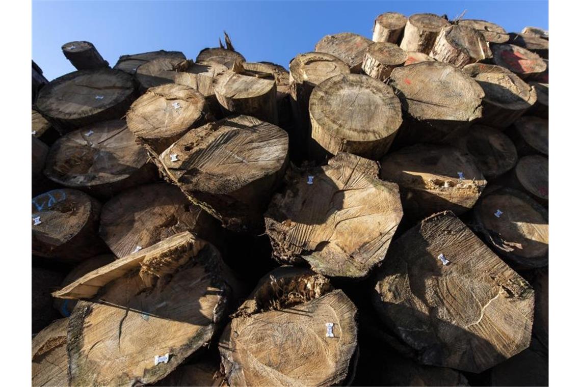 Holzstämme liegen in einem Holzlager des Forstes übereinander. Foto: Patrick Seeger/dpa/Symbolbild