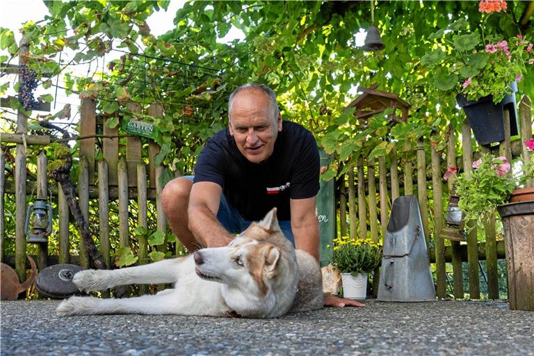 Hündin Missy schmückt nicht nur das Cover von Karl-Heinz Thiels Roman, sondern spielt darin auch eine Hauptrolle. Foto: Alexander Becher