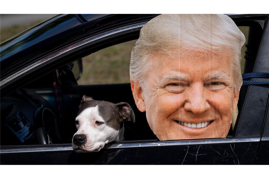 Hund Nala muss im Auto neben einem Pappkameraden warten, während Herrchen den US-Präsidenten Trump bejubelt.