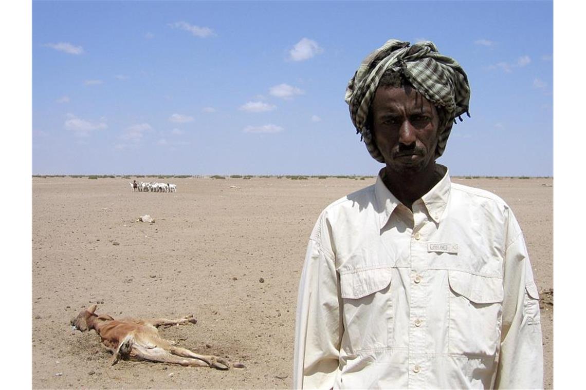 Flammender Appell aus Davos: Klimawandel als größtes Risiko Hungersnot in Kenia: Ein junges Kamel liegt tot im Sand. Es wurde kurz nach der Geburt getötet, weil das Muttertier wegen der anhaltenden Dürre zu schwach war, es zu ernähren. Foto: DB Ulrike Koltermann/dpa